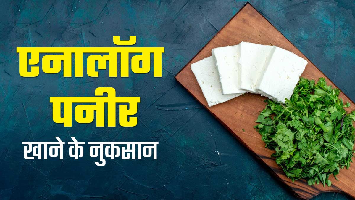 "Analogue Paneer preparation with chemicals, milk powder, and palm oil"